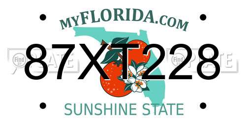 87XT228 Florida License Plate