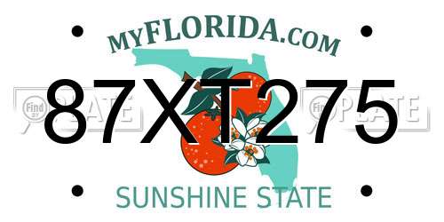 87XT275 Florida License Plate