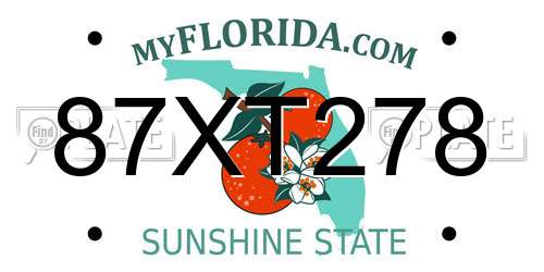 87XT278 Florida License Plate