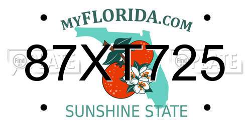 87XT725 Florida License Plate