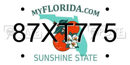87XT775 Florida License Plate