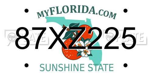 87XZ225 Florida License Plate