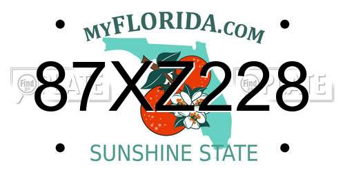 87XZ228 Florida License Plate