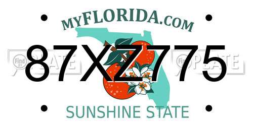 87XZ775 Florida License Plate
