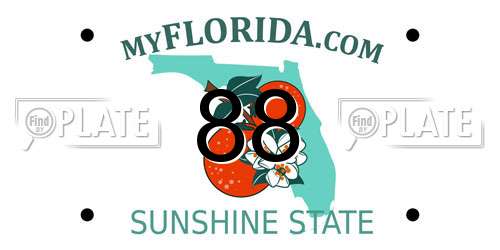 88 Florida License Plate