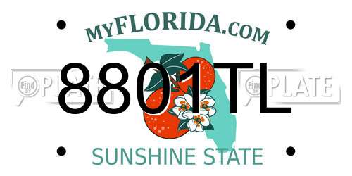 8801TL Florida License Plate