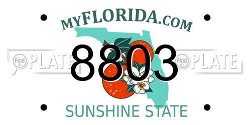 8803 Florida License Plate