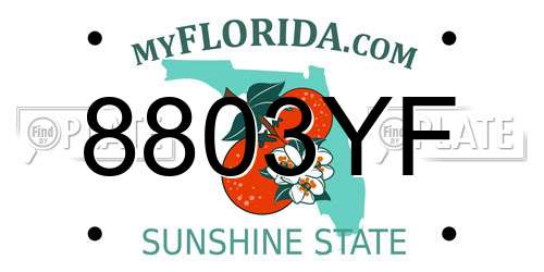 8803YF Florida License Plate