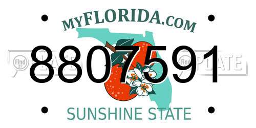 8807591 Florida License Plate