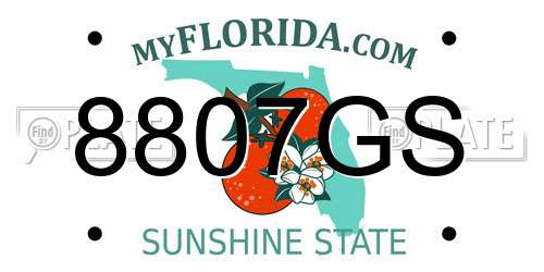 8807GS Florida License Plate