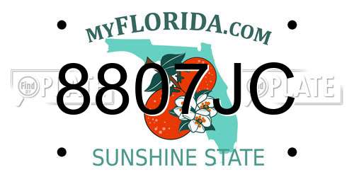 8807JC Florida License Plate