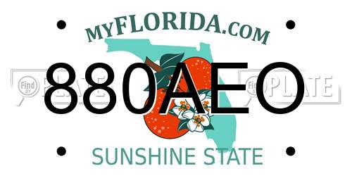 880AEO Florida License Plate