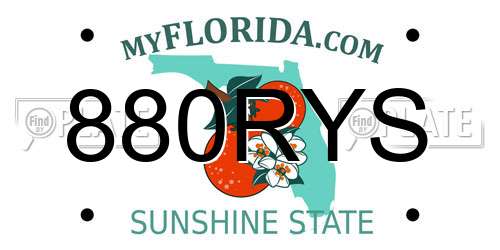 880RYS Florida License Plate