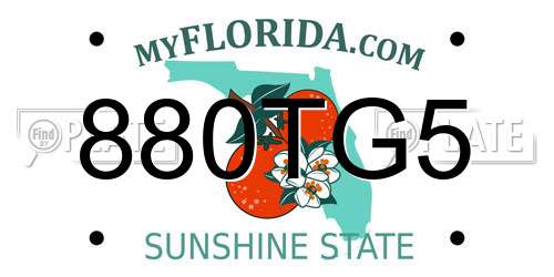 880TG5 Florida License Plate