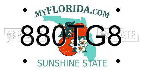 880TG8 Florida License Plate