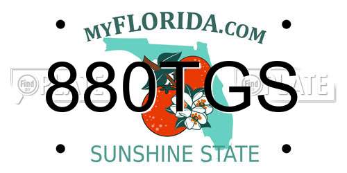 880TGS Florida License Plate