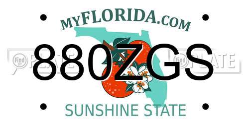 880ZGS Florida License Plate