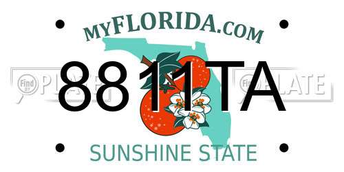 8811TA Florida License Plate