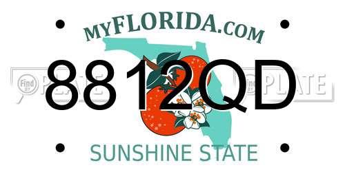 8812QD Florida License Plate