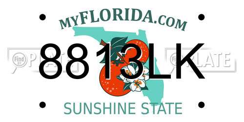 8813LK Florida License Plate