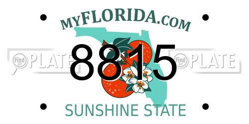 8815 Florida License Plate