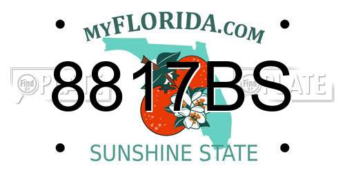 8817BS Florida License Plate
