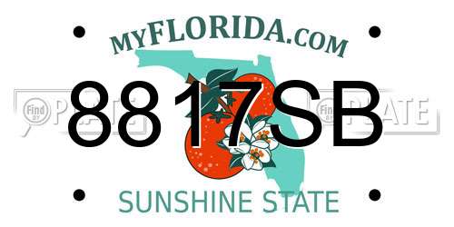 8817SB Florida License Plate
