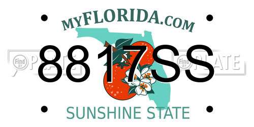 8817SS Florida License Plate