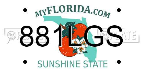 881LGS Florida License Plate