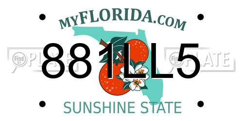 881LL5 Florida License Plate