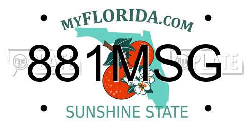 881MSG Florida License Plate