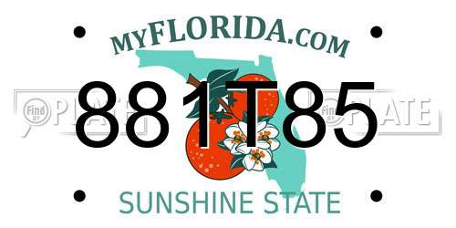 881T85 Florida License Plate