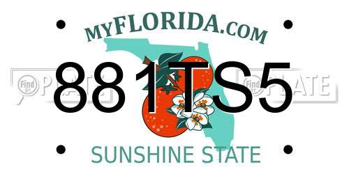 881TS5 Florida License Plate