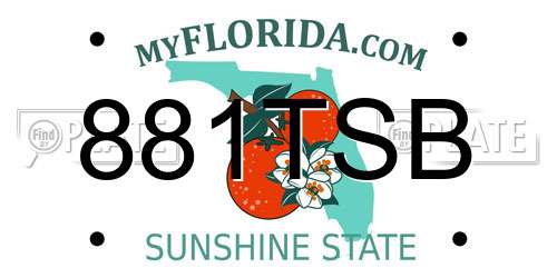 881TSB Florida License Plate