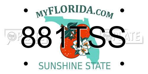 881TSS Florida License Plate