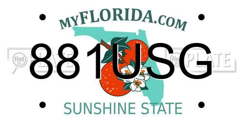 881USG Florida License Plate