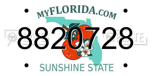 8820728 Florida License Plate