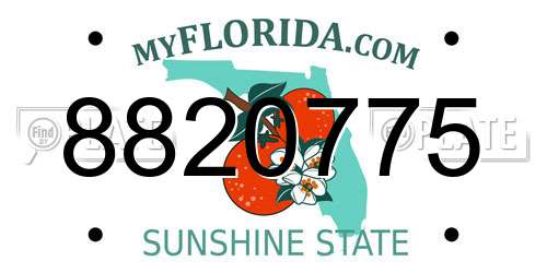 8820775 Florida License Plate