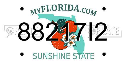 88217I2 Florida License Plate