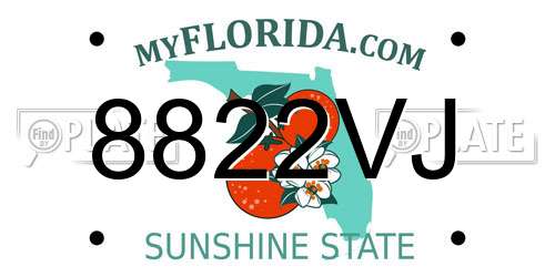 8822VJ Florida License Plate