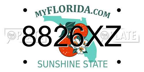 8826XZ Florida License Plate