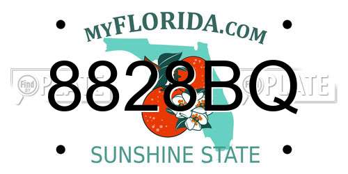 8828BQ Florida License Plate