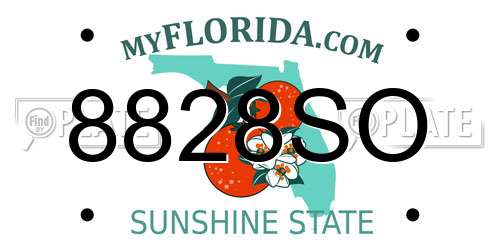 8828SO Florida License Plate
