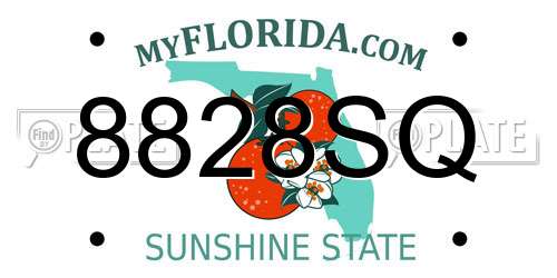 8828SQ Florida License Plate