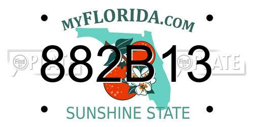 882B13 Florida License Plate