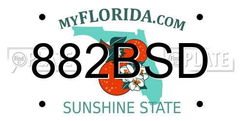 882BSD Florida License Plate