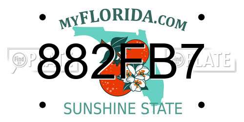 882FB7 Florida License Plate