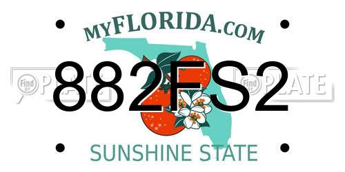 882FS2 Florida License Plate