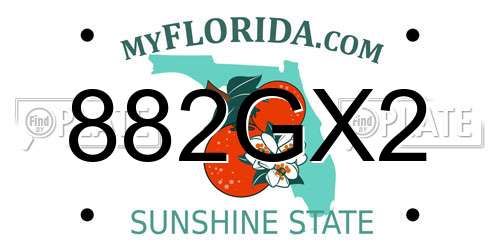 882GX2 Florida License Plate