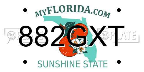 882GXT Florida License Plate